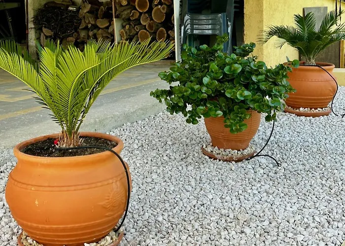 Kassopia Serenity Place *