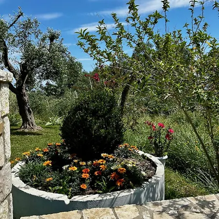 Kassopia Serenity Place Дом отдыха
